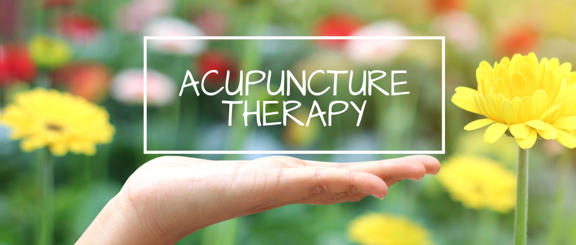 acupuncture therapy